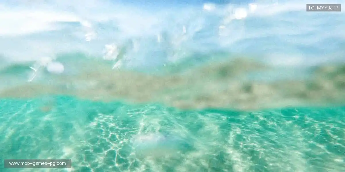 球迷的第二主场，🎯 从球星同款到限量周边，一网打尽你的热爱！